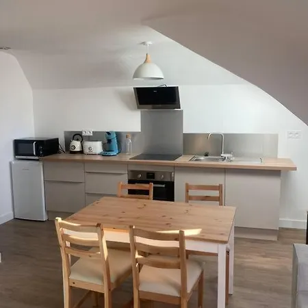 Au Bord De La Mayenne Lejlighed Laval (Mayenne)