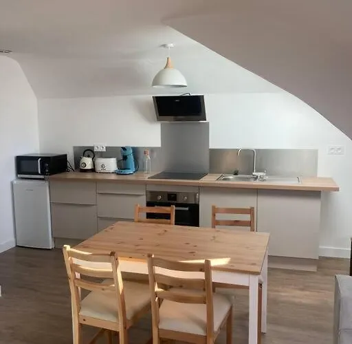 Au Bord De La Mayenne Appartamento Laval (Mayenne)